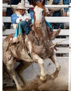 Rancheras de Ayer y Hoy